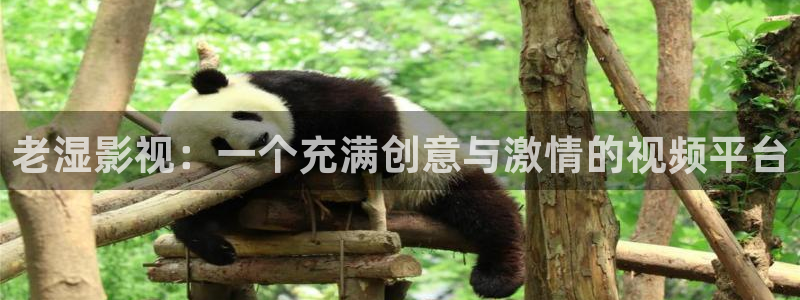 yy408000青苹果影院免费