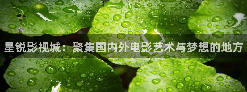 青苹果 在线播放