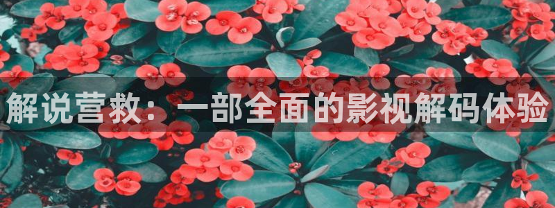 yy青苹果影院理论