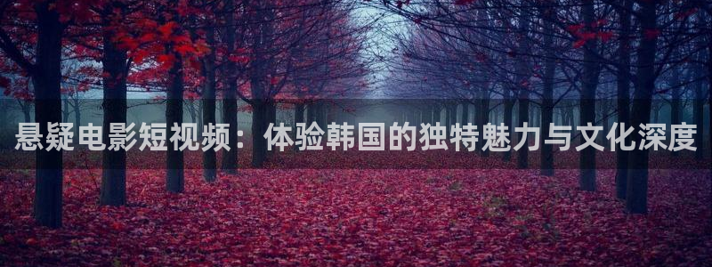 青苹果乐园免费观看电视剧高清资源