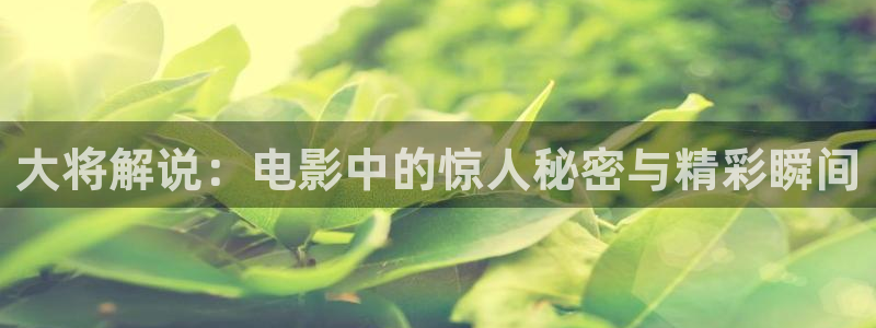 新闻图片