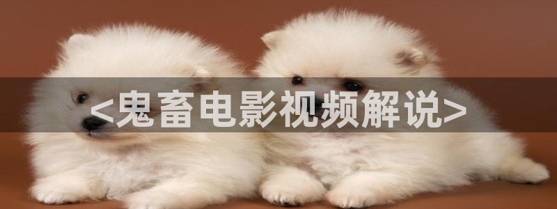 yy青苹果影视