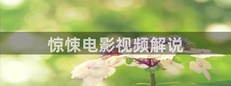 青苹果乐园高清免费播放最新