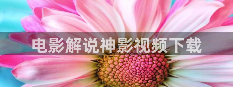 青苹果影院yy04080